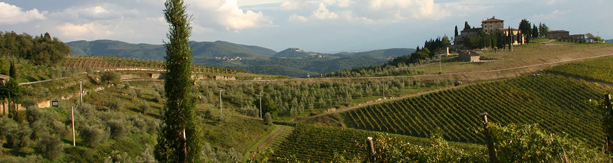 Kundenstimme Webdesign Francesca Ficalbi Le Selvole Toscana Kundenstimme Webdesign Francesca Ficalbi Le Selvole Toscana